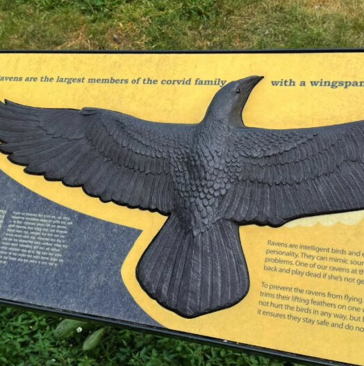 The sign at the Tower of London asking visitors not to feed the ravens